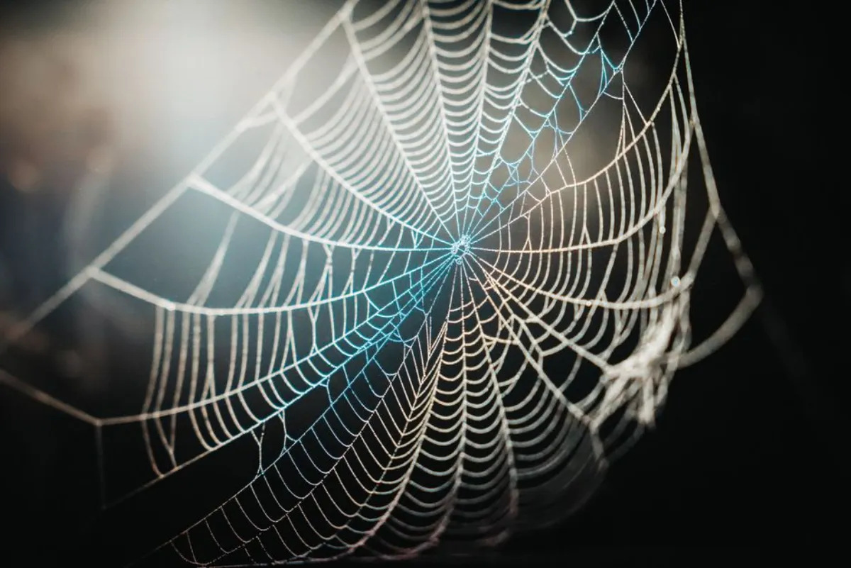 web tutorial
